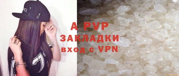 сатива Анжеро-Судженск