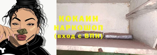 амф Бородино