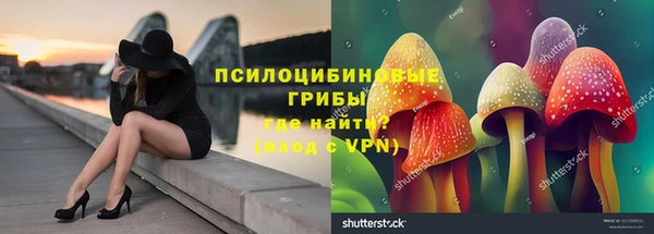 mdma Осинники