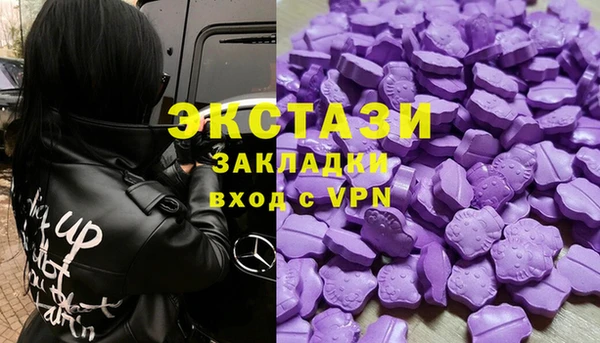 амф Бородино
