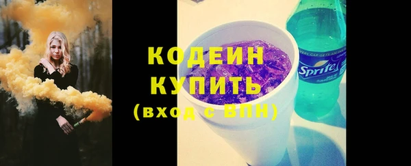 сатива Анжеро-Судженск