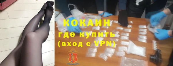 сатива Анжеро-Судженск