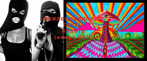 трава Ельня