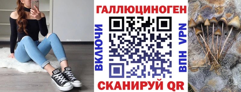 гидра онион  Новоржев  Псилоцибиновые грибы мицелий 